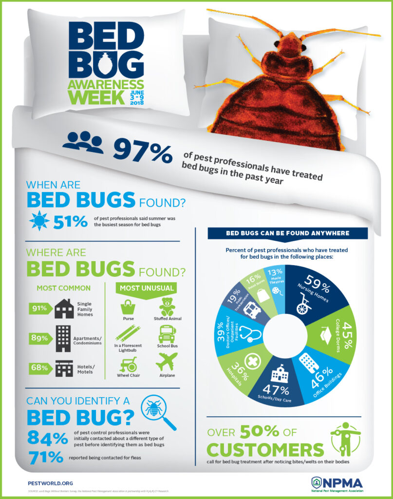 bed bug infestation and inspection